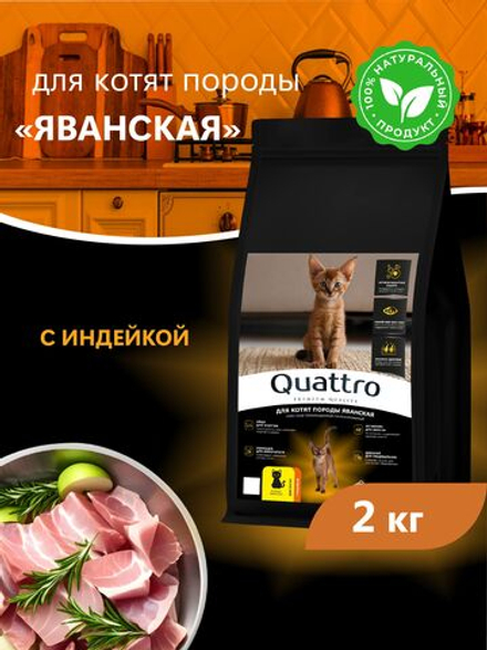 Корм сухой для котят породы Яванская, с индейкой, 2 кг, QUATTRO