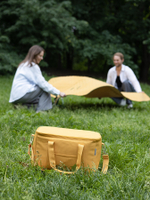 Термосумка Smart Picnic L | горчичная