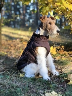 Жилет для собак мелких средних крупных пород такс