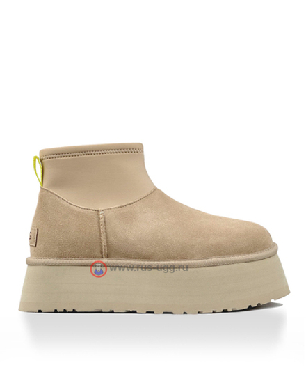 MINI DIPPER Mustars Seed