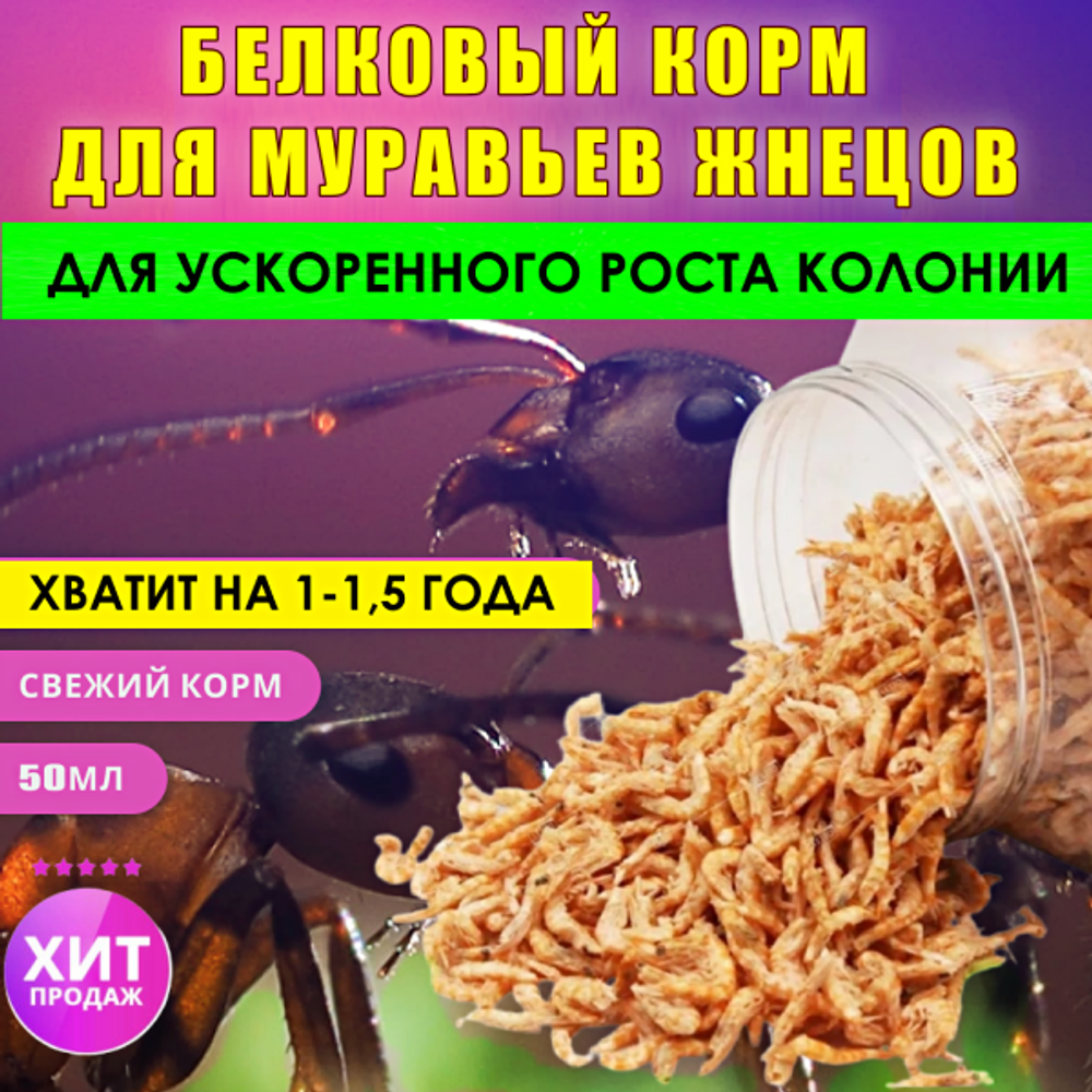 корм для муравьев