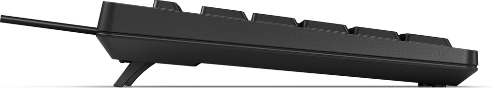 Клавиатура HP 266C9A6 черный