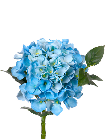Гортензия крупнолистная small на стебле - Голубой