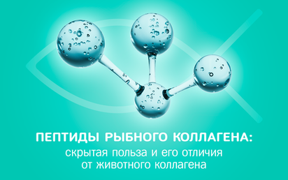 Какая польза скрыта в пептидах рыбного коллагена и в чем его отличия от животного коллагена?