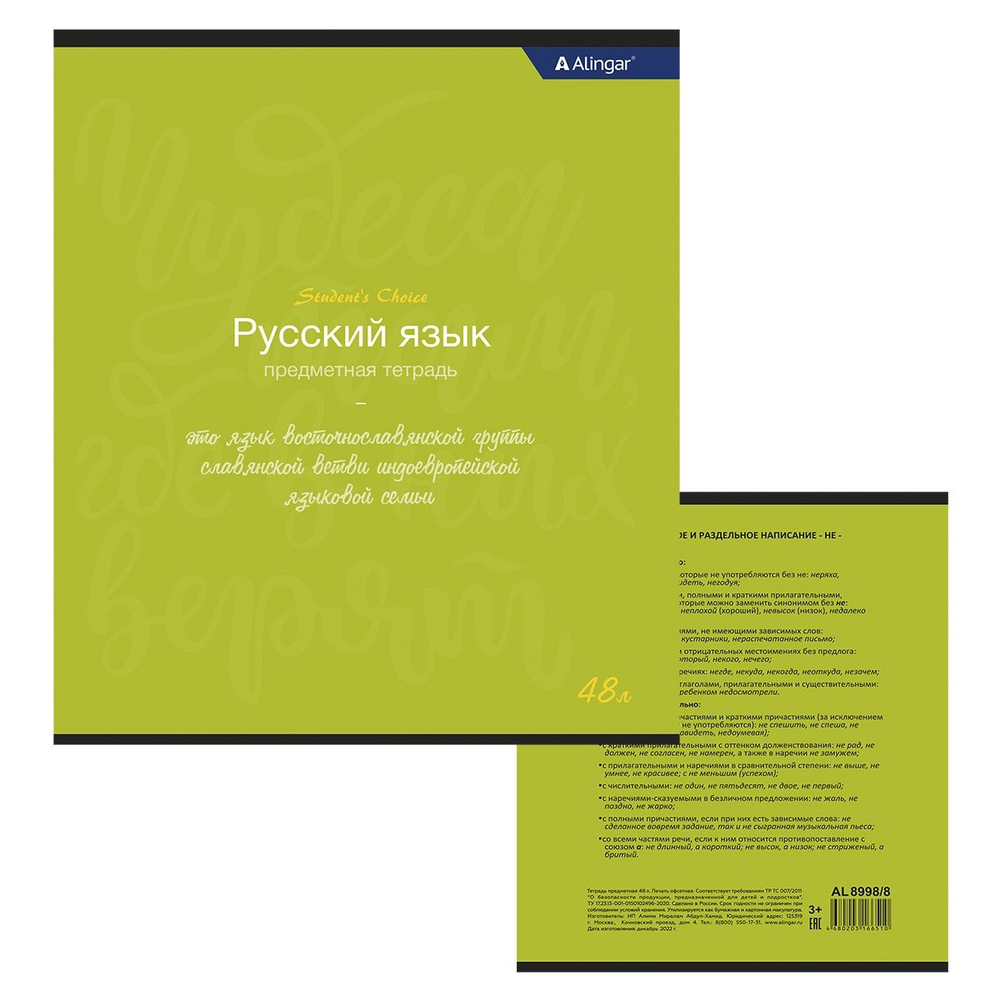 Тетрадь предметная "Русский язык" А5 48л., со справочным материалом, скрепка, мелованный картон (стандарт), блок офсет, Alingar "Student`s choice"