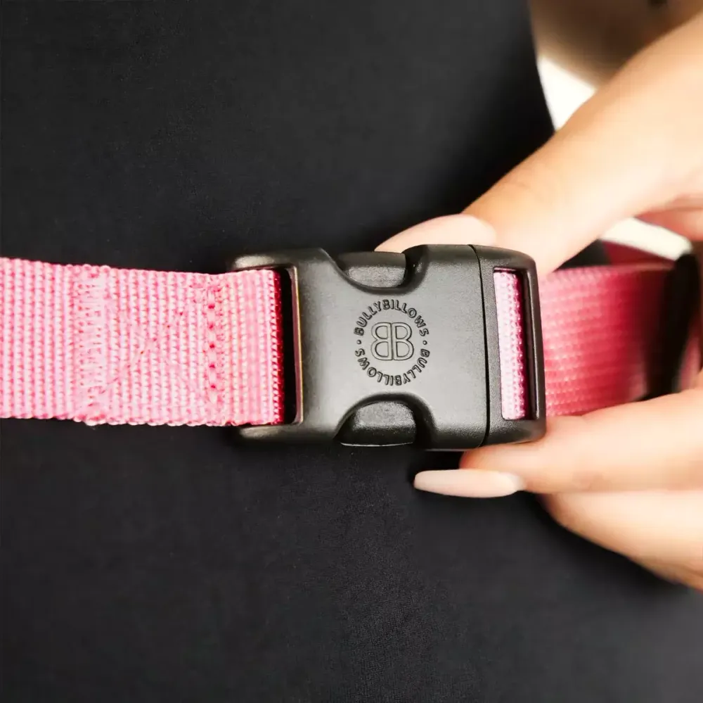 Сумочка для лакомств DOG TREAT POUCH BullyBillows