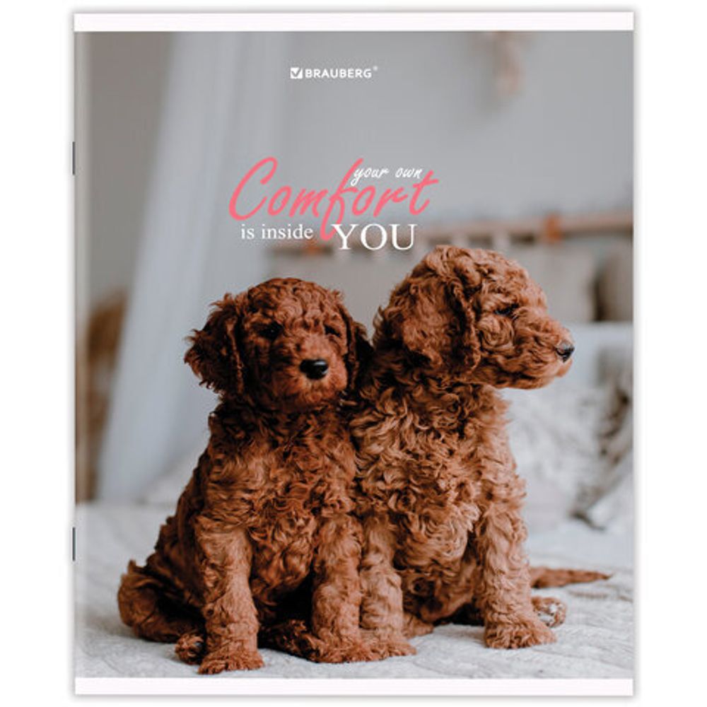 Тетрадь А5 48 л. BRAUBERG скоба, линия, обложка картон, "Питомцы", 404386, 5шт