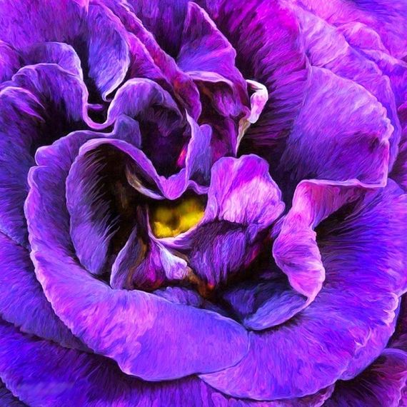 Аромат ночного лета-алмазная картина