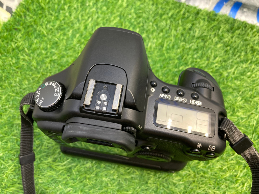 Canon EOS 30D + Canon Battery Grip BG-E2N