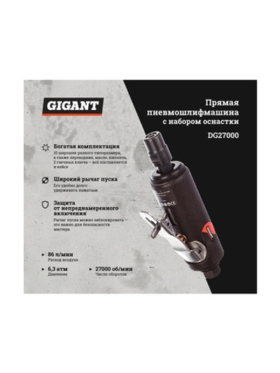 Прямая пневмошлифмашина с набором оснастки (цанга; 27000 об/мин; кейс) Gigant DG27000