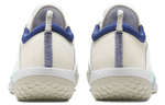 Кроссовки Nike Court Zoom Nxt Hc