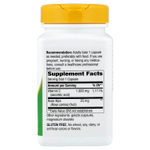 Nature's Way, витамин C с шиповником, 100 капсул