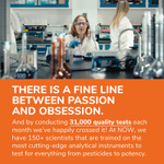 NOW Foods, мелатонин, 10 мг, 100 растительных капсул