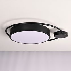 Потолочный светильник DESTIN D40 Black