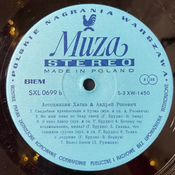 Винтажная виниловая пластинка LP Asocjacja Hagaw I Andrzej Rosiewicz (Польша 1970)