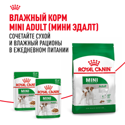 Royal Canin Mini Adult Корм сухой для взрослых собак мелких размеров от 10 месяцев - 0,8 кг