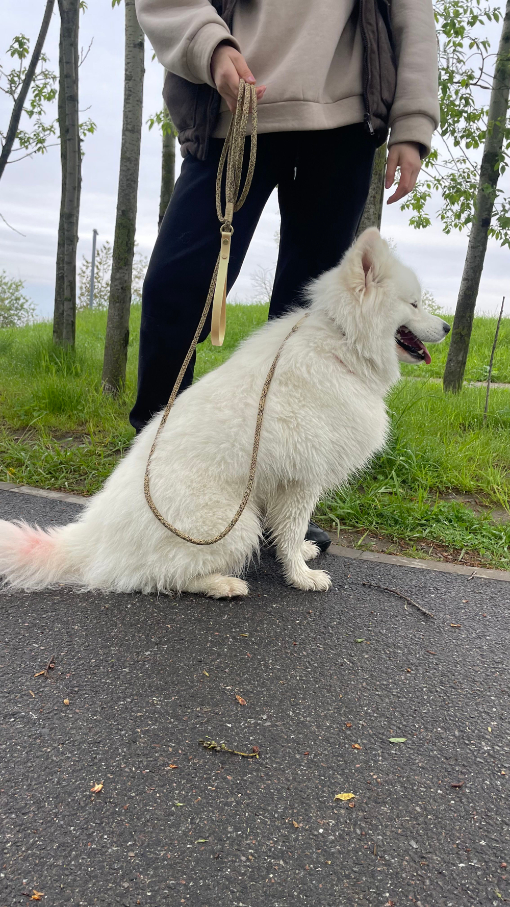 Поводок веревка для собак, 8 мм, 5 м, латунь премиум, золотой с черным