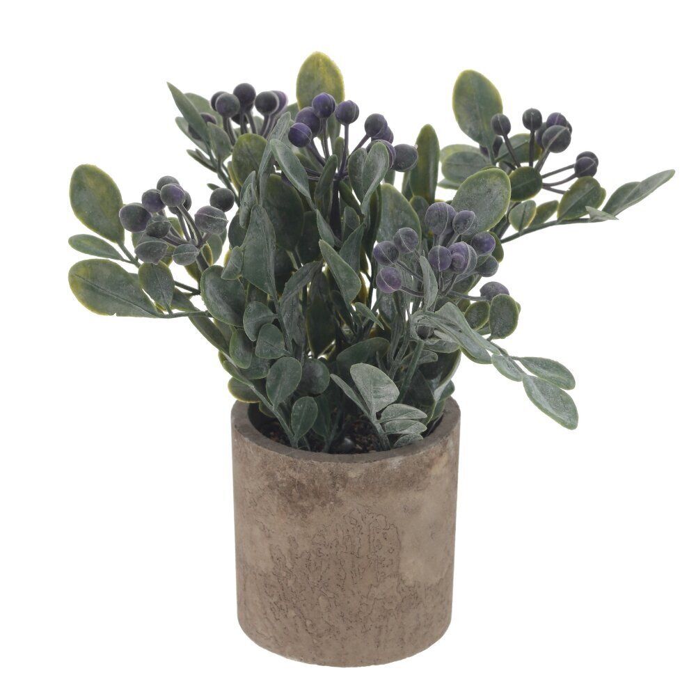 GAEM Цветочная композиция, L8 W8 H18 см