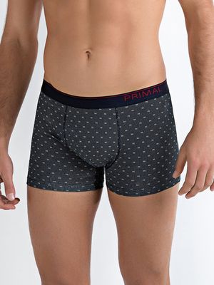 Мужские трусы B221 Boxer Primal