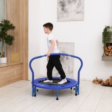 Батут с поручнем DFC Gardenature 36&#39;&#39; синий