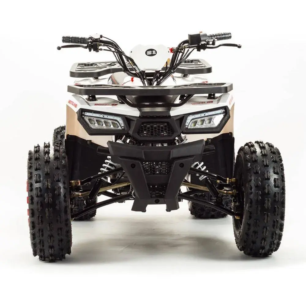 Квадроцикл Motoland 125 WILD A