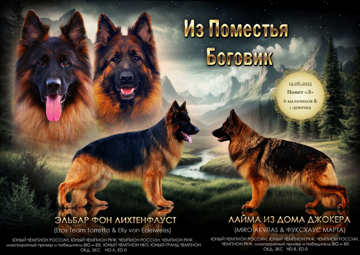 Помет "Л"