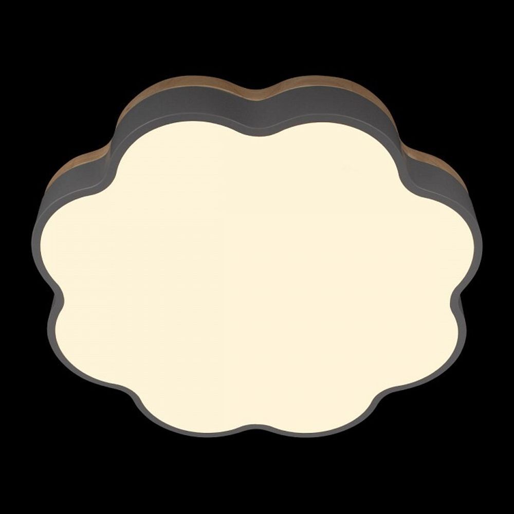 Накладной светильник Loft it Axel 10225/36 Grey