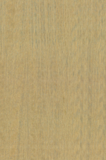 Arte Amazone 2 Fierce – 23506