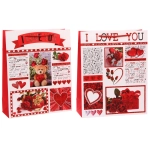 Пакет подарочный «I LOVE YOU!» 26*32*10 см, микс