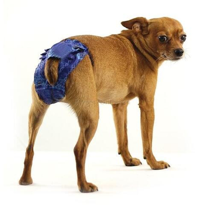 Трусы для собак M, 160*190мм, Gamma