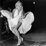 кусты для сада — сорт Норма Джин (Norma Jean) — ароматная роза