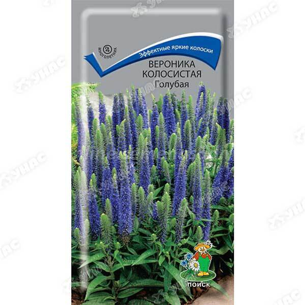Вероника колосистая голубая 0.1г