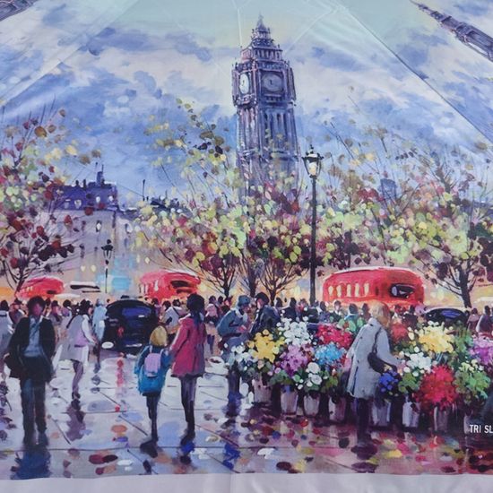 Женский зонт Три Слона - Полный автомат 3761-O-05