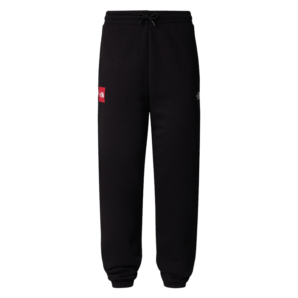 Брюки спортивные мужские THE NORTH FACE U AXYS JOGGER