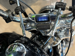 Harley-Davidson Softail Standard