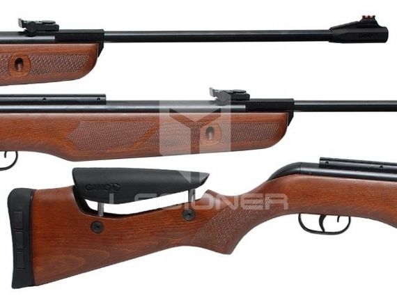 Пневматическая винтовка GAMO Hunter DX (IGT)