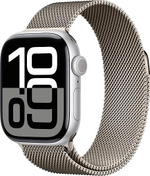 Apple Watch S10 46mm (Silver)