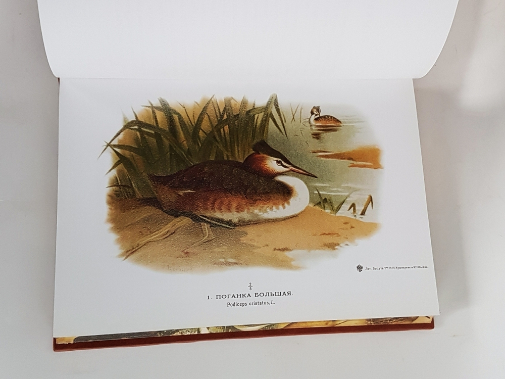 Подарочная книга "Охотничьи и промысловые птицы Европейской России и Кавказа". М.А. Мензбир