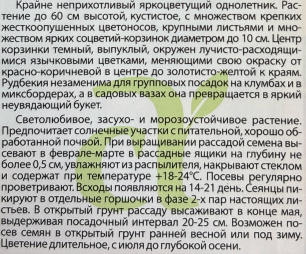 Рудбекия хирта Осенний Лес 0,2 г СМЦ-570