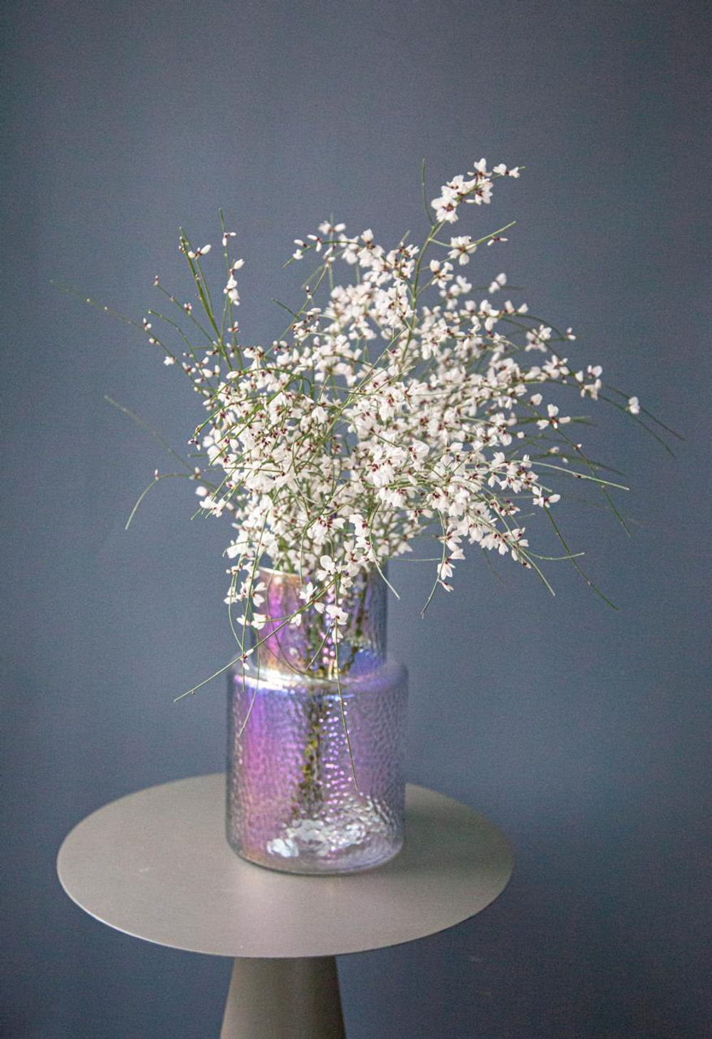 Монобукет Гениста White