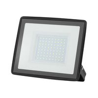 Прожектор светодиодный уличный 100Вт 6500К IP65 холодный белый свет Эра