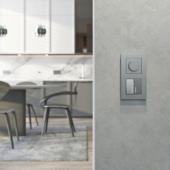 Диммер N Werkel серебряный матовый W1142065 4690389213045