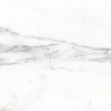 Керамогранит БЬЯНКА КАРРАРА белый глянец 450х450