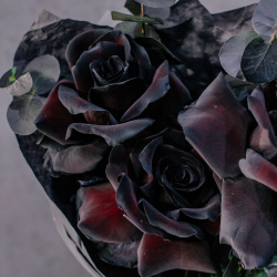 88. Темный букет с черными французскими розами и эвкалиптом