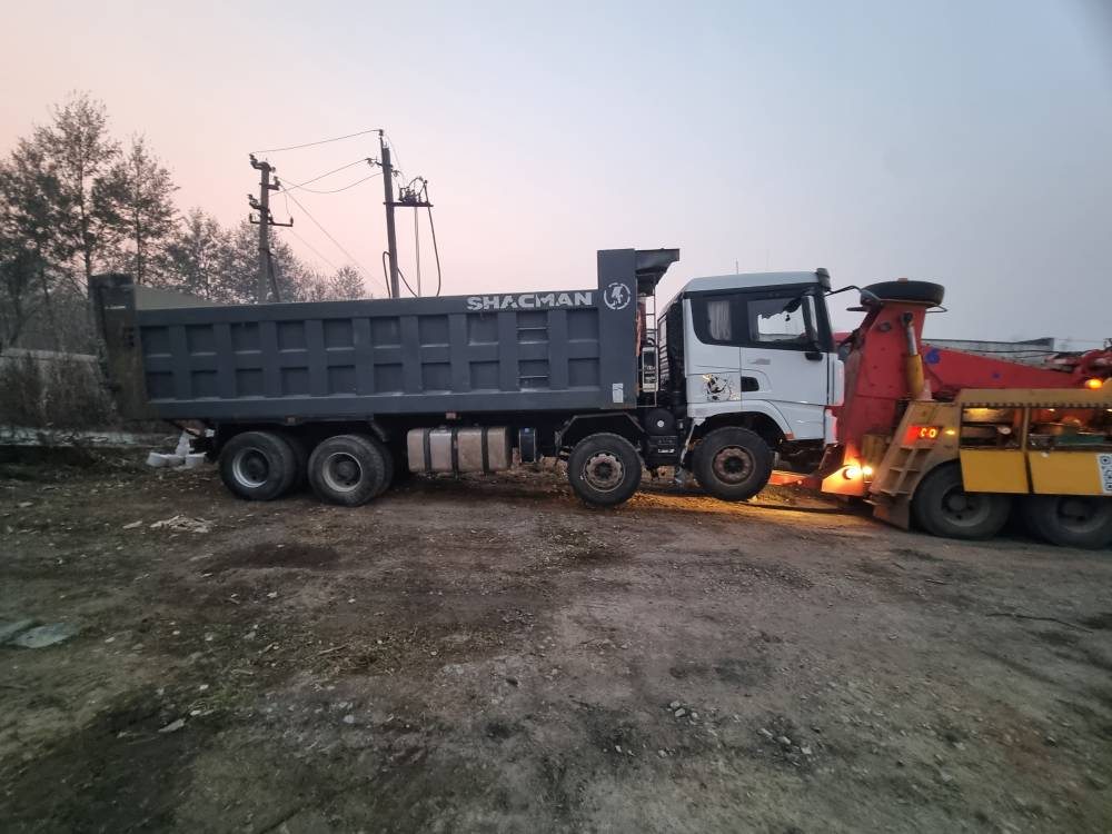 Shacman (Shaanxi) SX* 8x4 Самосвал SX33186W366C (Дизельный, 10,8 л, 441 л.с., МТ)