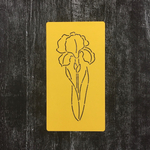 Цветок Ирис №4