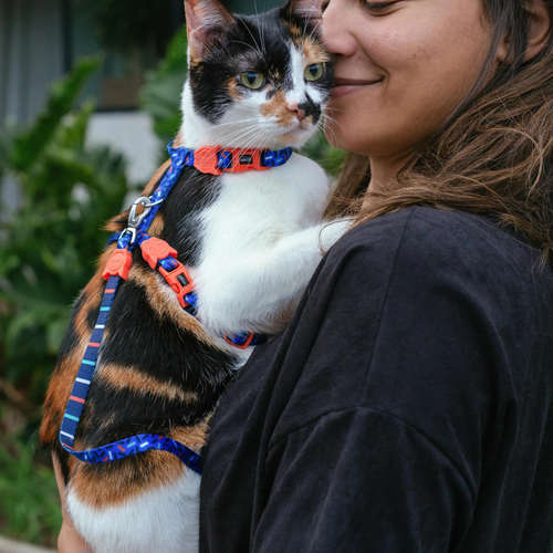 Шлейка+поводок ATLANTA Zee.Cat