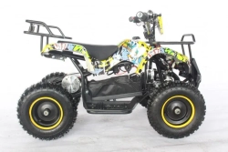 Электроквадроцикл Green Camel Гоби K21 (36V 800W R6 Цепной привод)