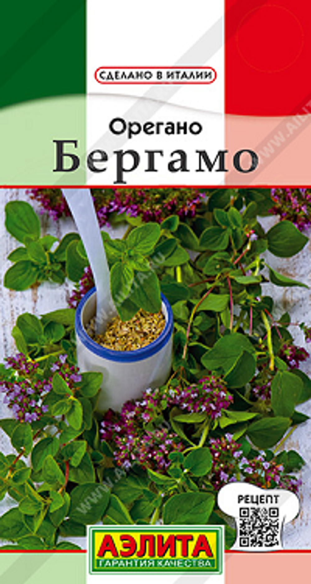 Орегано Бергамо (душица)