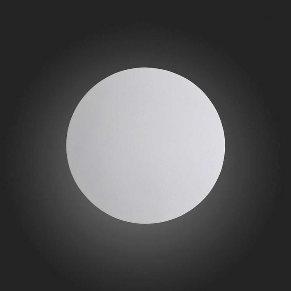 Настенный светильник ST-Luce SL457.511.01